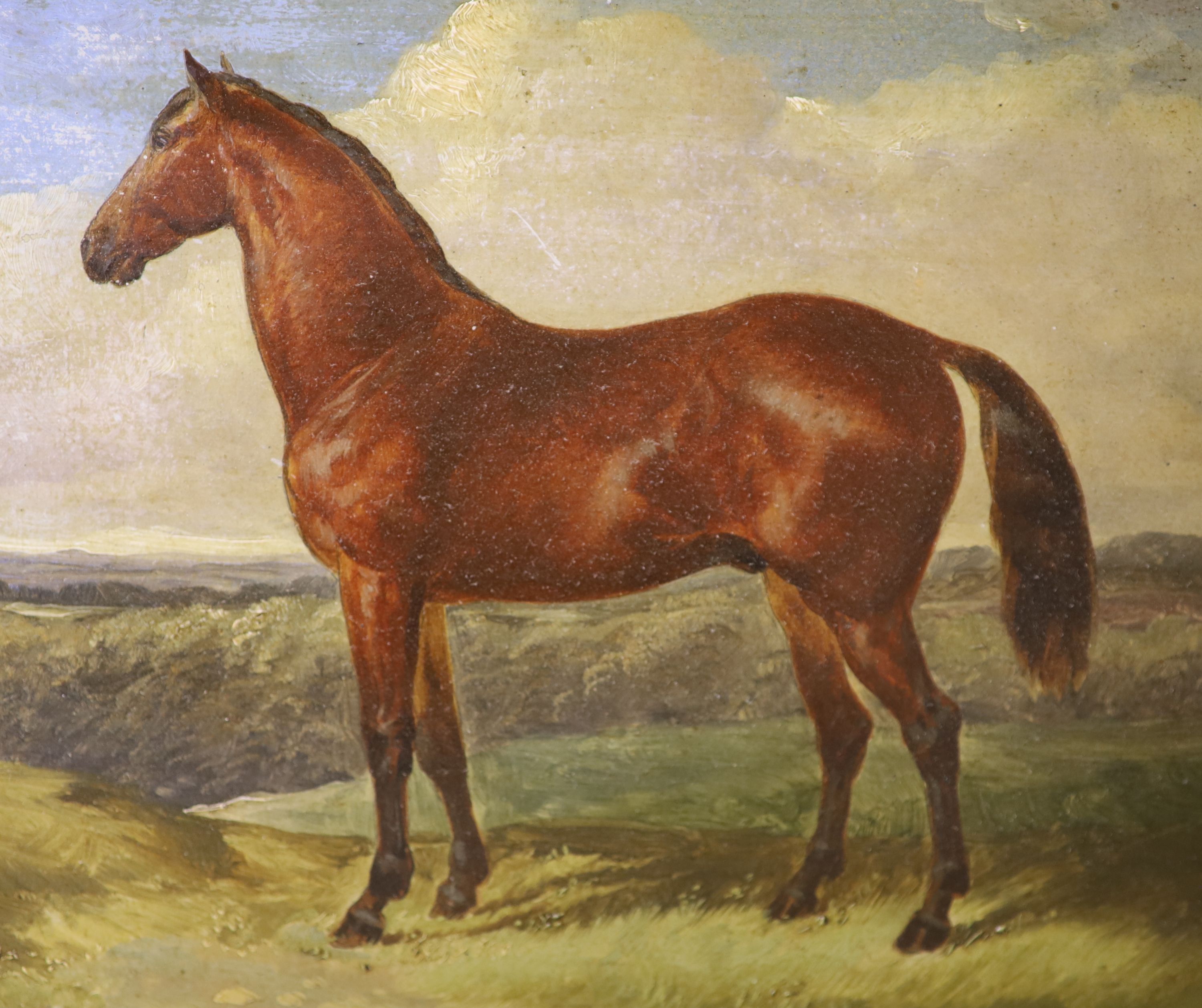19th century English School, pair of oils on board, Portraits of horses in a stable and a landscape, 19.5 x 24.5cm